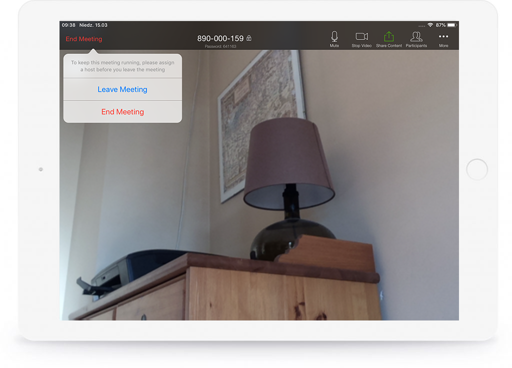 Aby zakończyć spotkanie, klikamy przycisk End Meeting | End Meeting.